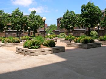 Plaza